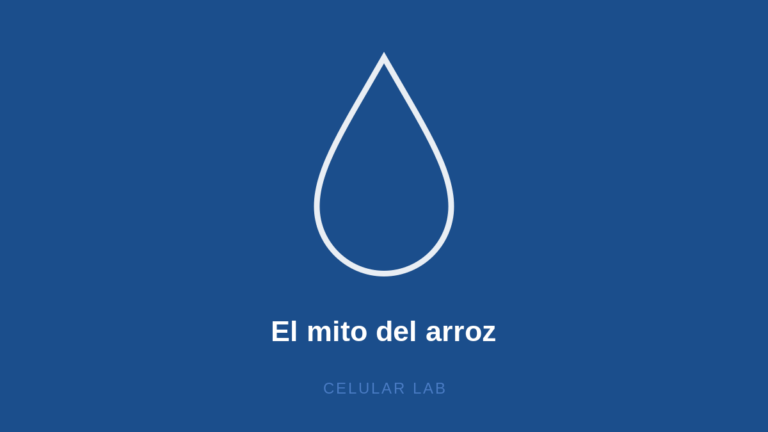El Mito del Arroz para Secar el Celular: Por Qué No Funciona